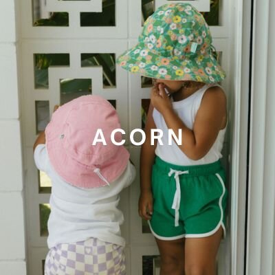 Acorn
